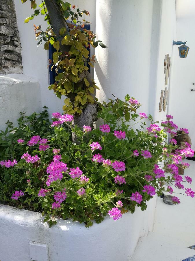 La Rosamarina Hotel Stromboli Luaran gambar